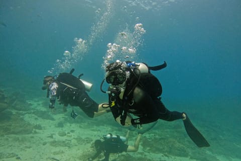 Abu Dhabi Padi Basic Scuba Diver Course