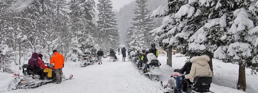 Bucarest : excursion en quad, motoneige et château de Peles