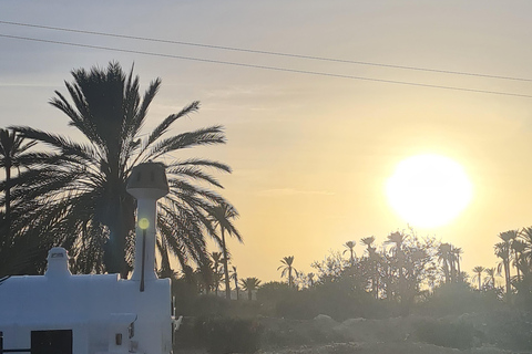 Djerba: Sunset Carriage Ride to Flamingo Island Djerba: Sunset Carriage Ride to Pink Flamingo Island