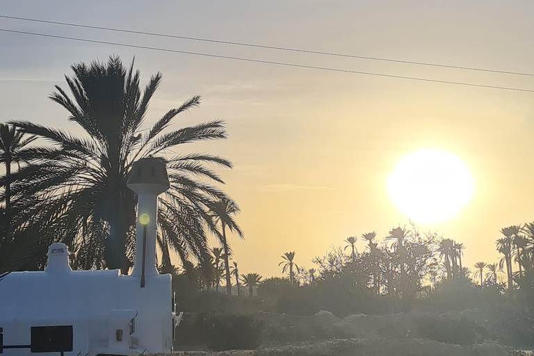 Djerba: Sunset Carriage Ride to Flamingo Island Djerba: Sunset Carriage Ride to Pink Flamingo Island