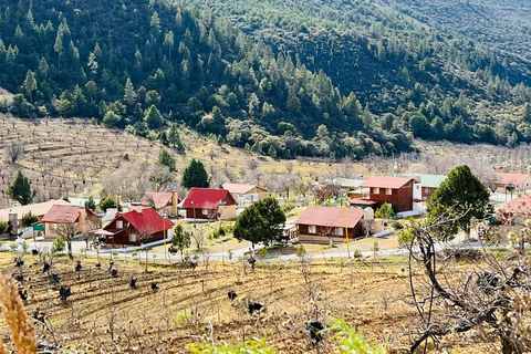Wycieczka z przewodnikiem, transferem i biletami wstępu na wyprawę ArteagaMonterrey: Wycieczka z przewodnikiem po Arteaga, Coahuila