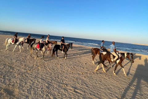 Soma Bay: Reittour mit HoteltransferSoma Bay: Reittour ohne Hoteltransfer