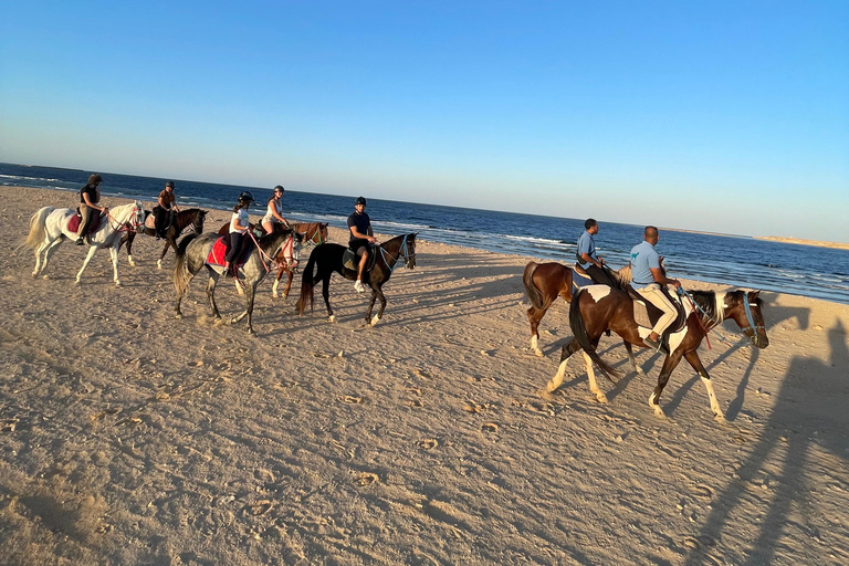 Soma Bay: Reittour mit HoteltransferSoma Bay: Reittour ohne Hoteltransfer