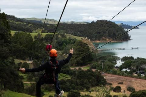 Auckland: Waiheke Island Man O' War Forest Flight Zipline Auckland: Waiheke Island Man O' War Zipline Adventure