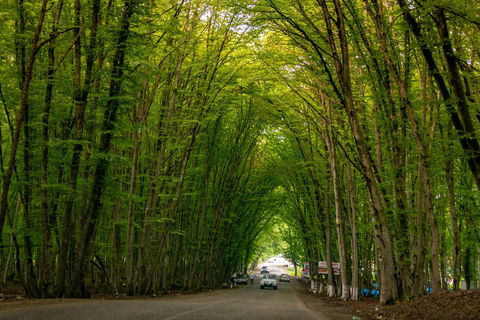 Bakou : excursion à Khizi-Shahdag avec déjeuner et visite d&#039;un complexe hôtelierAvec guide parlant portugais