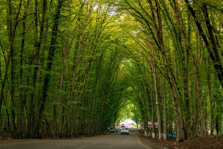 Bakou : excursion à Khizi-Shahdag avec déjeuner et visite d&#039;un complexe hôtelierAvec guide parlant portugais