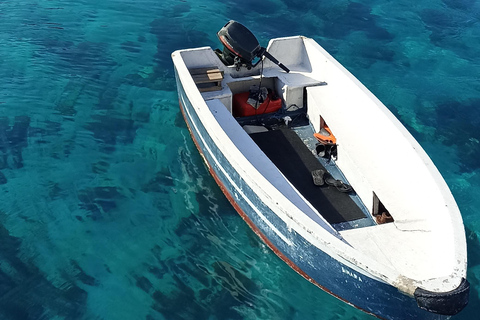 Komodo: Aventura en velero de 3 díasCamarote privado - Barco superior