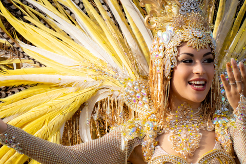 Excursion to the Santa Cruz de Tenerife Carnival Parade from Puerto de La Cruz