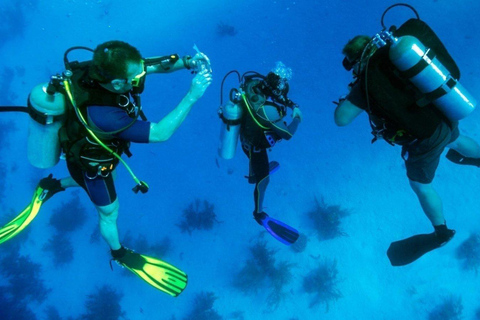 Marmaris: Scuba Diving w/Lunch & Hotel Pick Up Scuba Diving with Meeting Point (No Transfer)