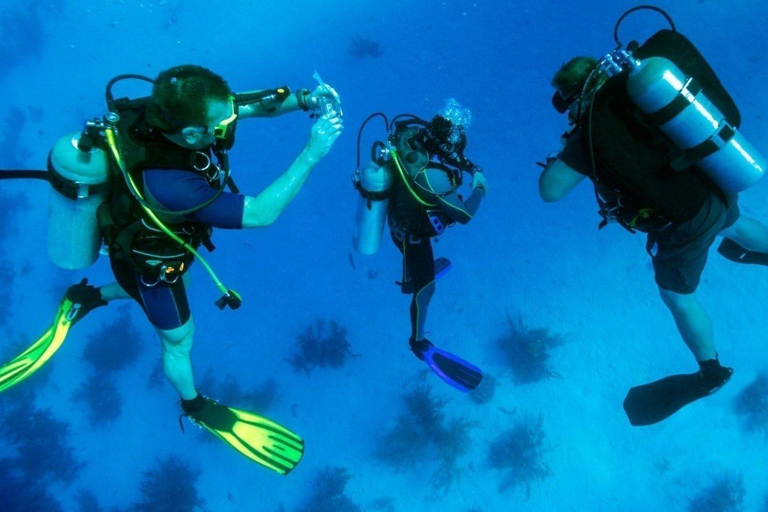 Marmaris: Scuba Diving w/Lunch & Hotel Pick Up Scuba Diving with Meeting Point (No Transfer)