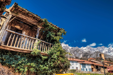 From Oviedo: Trip to Picos de Europa and Potes From Oviedo: Excursion to Picos de Europa and Potes