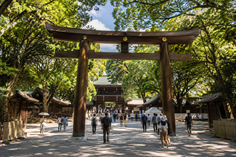 Tokyo Private Customizable City Highlights Guided Tour