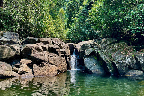 Bentota: River Safari, Big Buddha, and Tea Plantation Tour