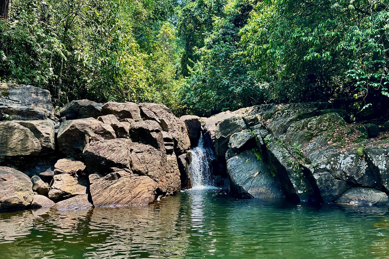 Bentota: River Safari, Big Buddha, and Tea Plantation Tour