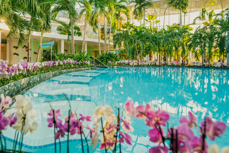 Therme Bucharest Elysium 12 H Tickets & Transfer All Areas Therme Bucharest Elysium Full Day 12h Tickets & Transfer