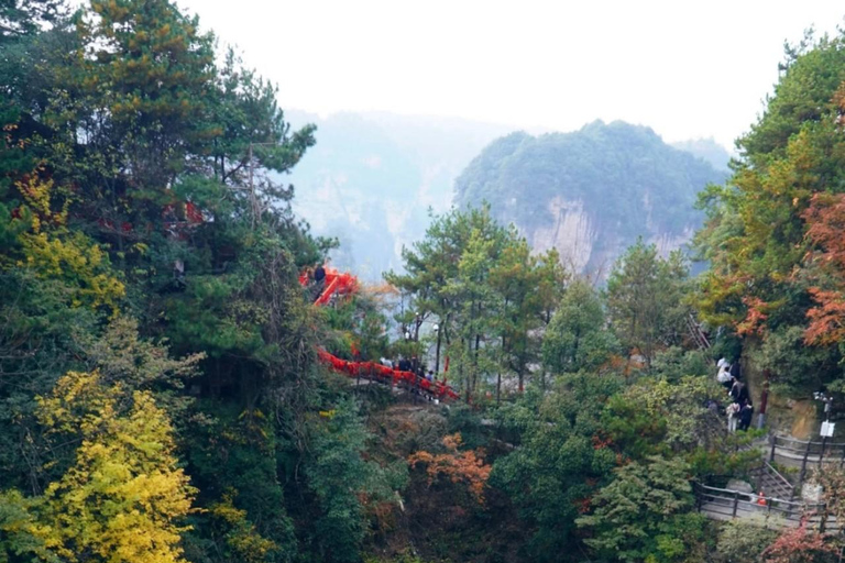 Zhangjiajie Express Day Trip: Avatar, Glass Bridge & Furong
