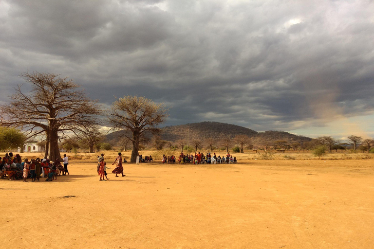 坦桑尼亚：从海岸到湖泊的 10 天社区野生动物之旅坦桑尼亚：从海岸到湖泊的 10 天社区之旅