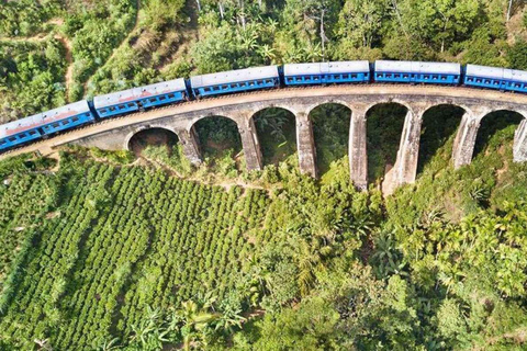 Colombo/Negombo: Sigiriya, Kandy, Ella 3-dagarsutflykt med tåg