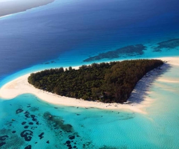 Il paradiso di Mnemba; snorkling con jet ski dalla spiaggia di Kendwa