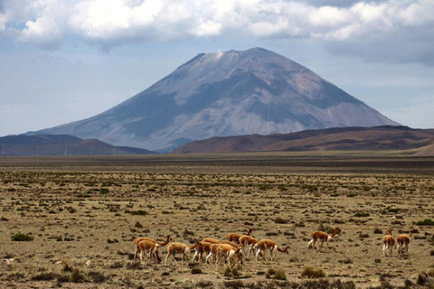 AREQUIPA: WODOSPADY PILLONES I KAMIENNY LAS