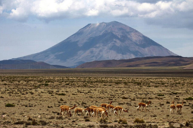 AREQUIPA : CASCADES DE PILLONES ET FORÊT DE PIERRES