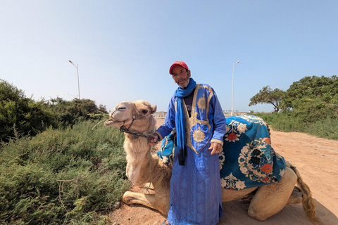 Agadir: Private Souss River Camel Ride with Pickup