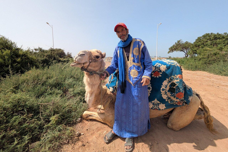 Agadir: Private Souss River Camel Ride with Pickup