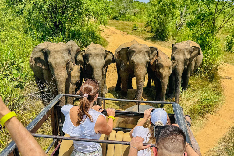 All Inclusive Hurulu Eco Park Morning & Evening Safari Hurulu Eco Park Private Safari ( Without Tickets )