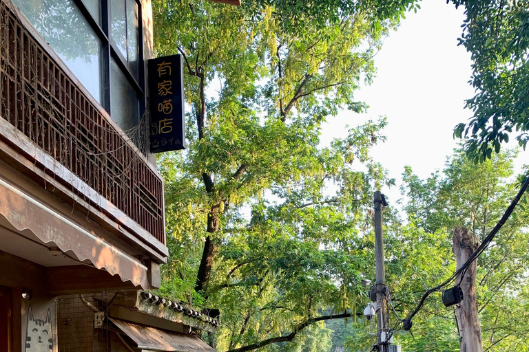 Chongqing: cidade surreal, antiga e com um miradouro secretoGuia em espanhol/francês/italiano/japonês/coreano/russo