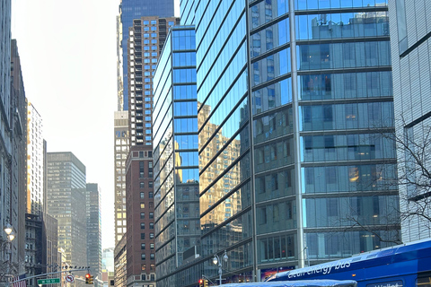 NYC: Tour in Pedicab di Central Park