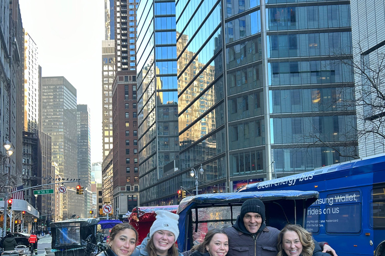 NYC: Tour in Pedicab di Central Park