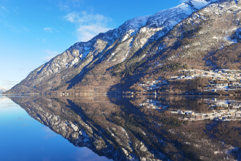 Flåm Flexible Tour with Stegastein, cruise and train include