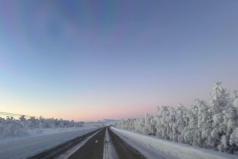 Narvik/Harstad : Excursion d&#039;une journée dans les Fjords avec arrêt à la ferme des rennes