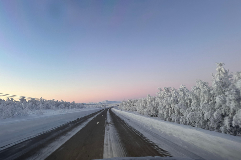 Narvik/Harstad : Excursion d&#039;une journée dans les Fjords avec arrêt à la ferme des rennes