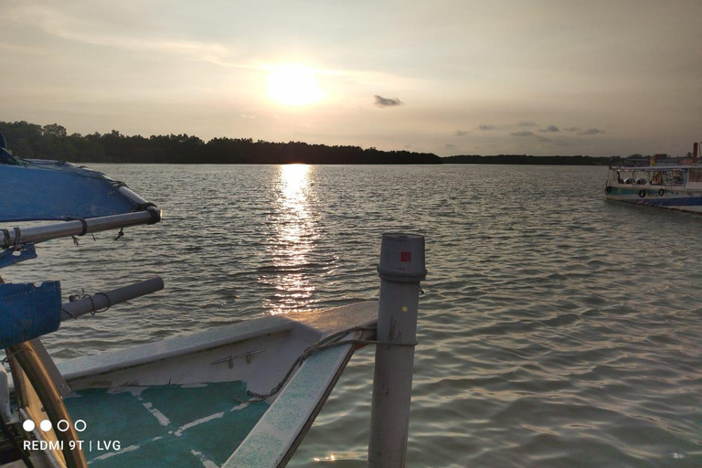 Glowing Kuala Selangor Firefly Tour