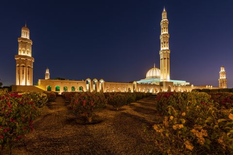 Muscat: Evening Tour with Dinner