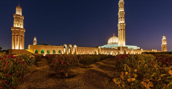 Muscat: Evening Guided City Highlights Tour by Van