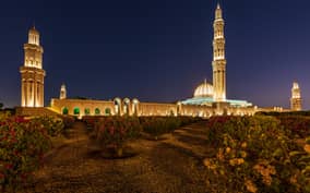 Muscat: Evening Guided City Highlights Tour by Van