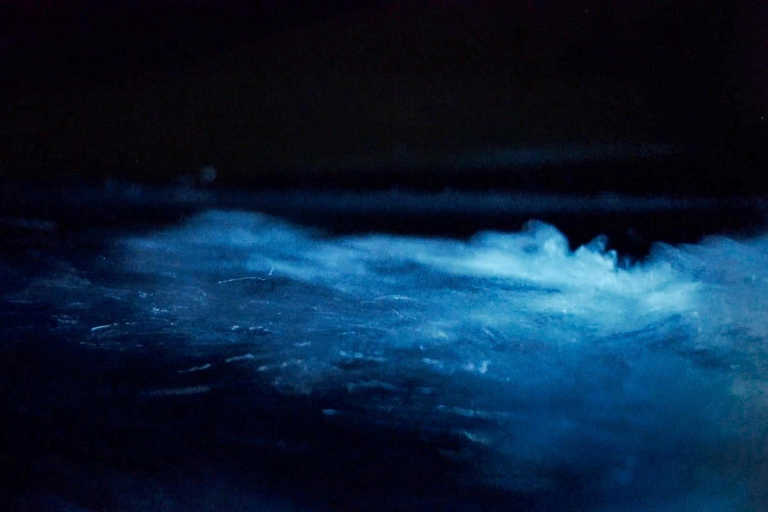 San Juan Island: Bioluminescence Kayak Tour