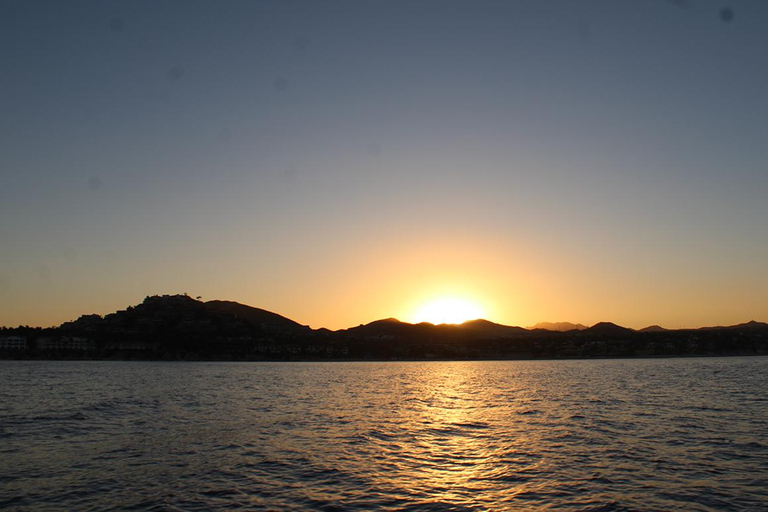 San Jose del Cabo Sunset Whale Watching