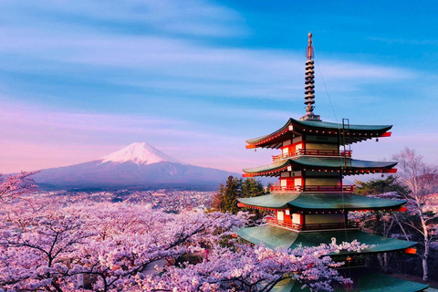 From Tokyo: Mount Fuji Full Day Customizable Tour With Guide ITINERARY B: Mount Fuji & Hakone Customize Tour With Guide