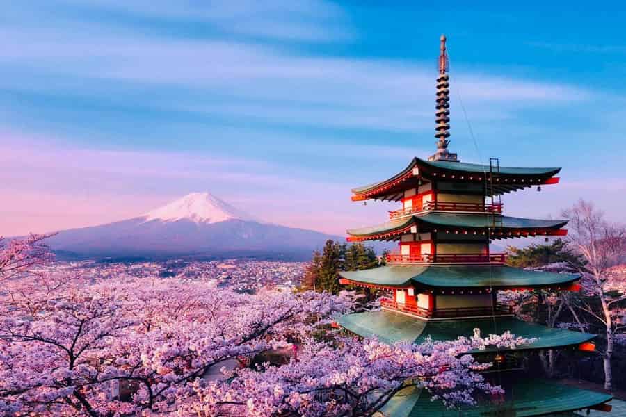 Von Tokio: Vollständig individuelle Tour zum Berg Fuji mit englischsprachigem Guide. Foto: GetYourGuide