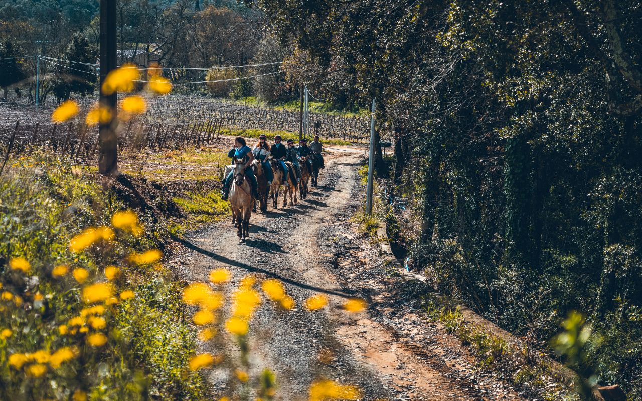 Grimaud: Reiten & Weinverkostung im Wald von Maures