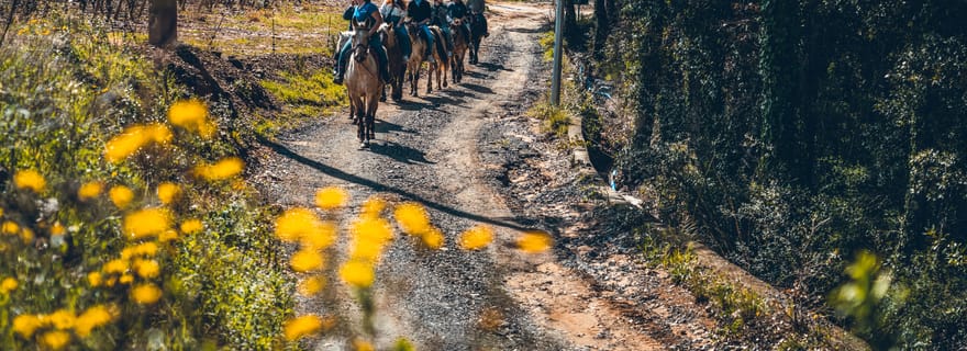 Grimaud : Randonnée à cheval et dégustation de vin dans la forêt des Maures