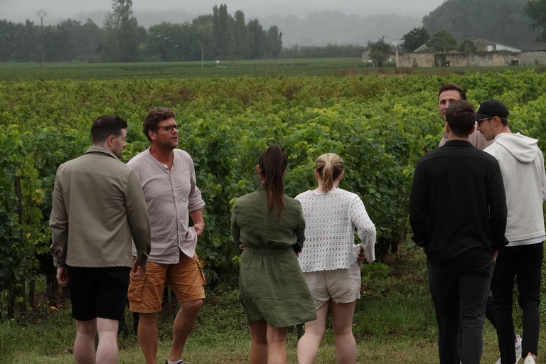 St. Emilion: Excursão de meio dia de E-Bike &amp; Wine Tour com Vinho e Queijo