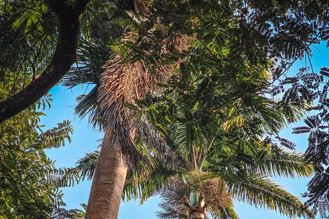 Stan Rio de Janeiro: Bilet wstępu do ogrodów kulturalnych Uaná Etê