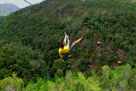 Punta Cana: Avventura nella foresta pluviale con la zipline