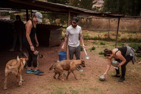 Cusco: 3-daagse Ayahuasca retraite met meditatie