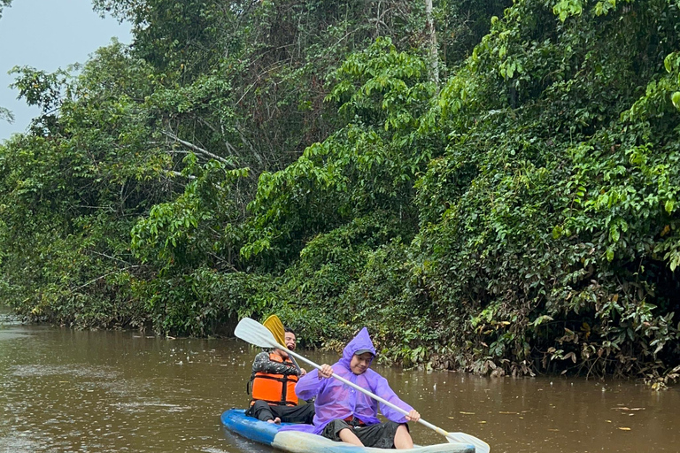 Canopy Tower, Zipline, Kayak, and Monkey Island …