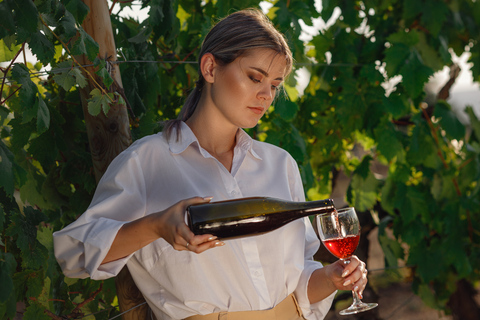 Rhodes: Greek Wine Festival 2026 - V.I.P. Tasting Experience